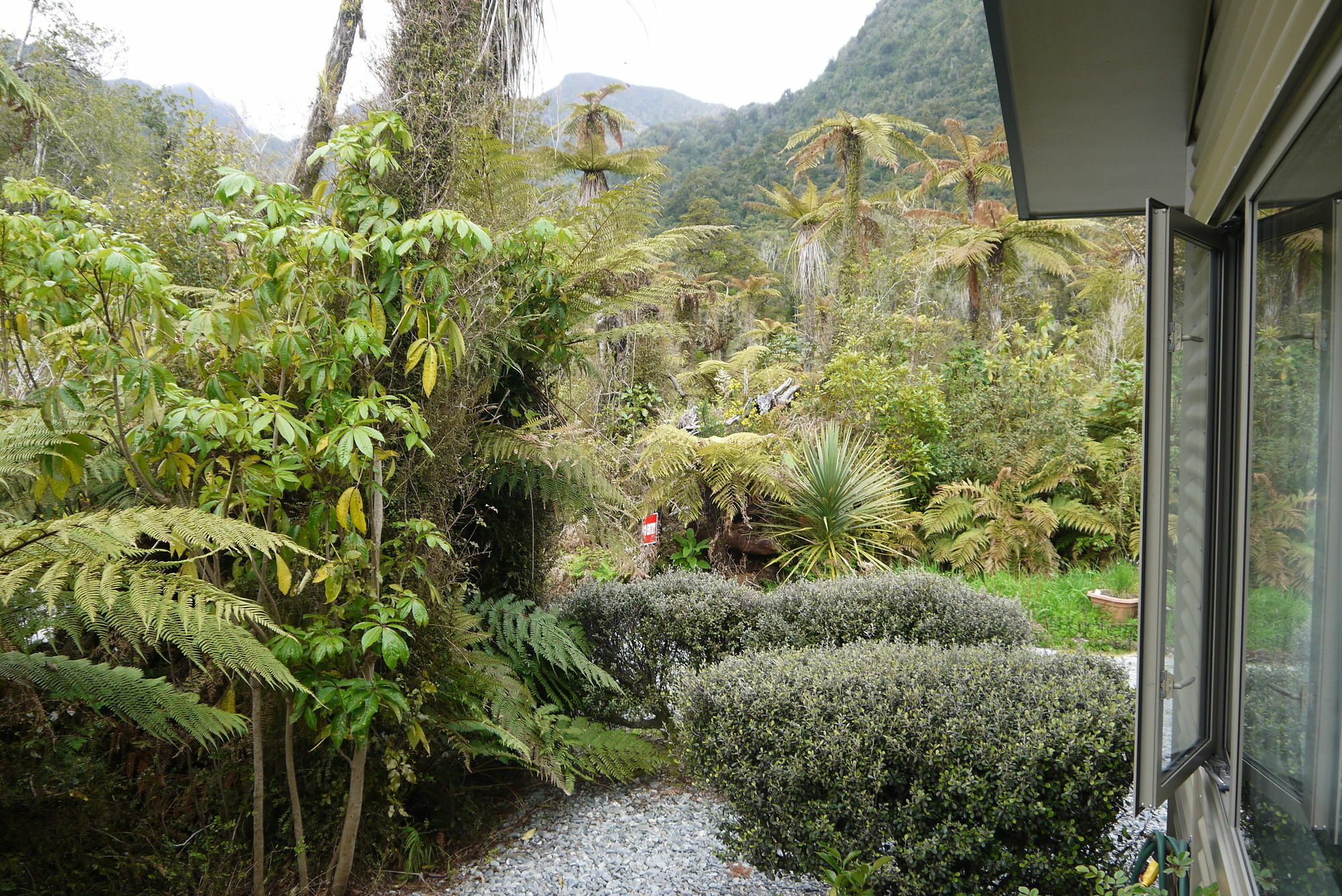 Franz Josef Treetops Exterior foto